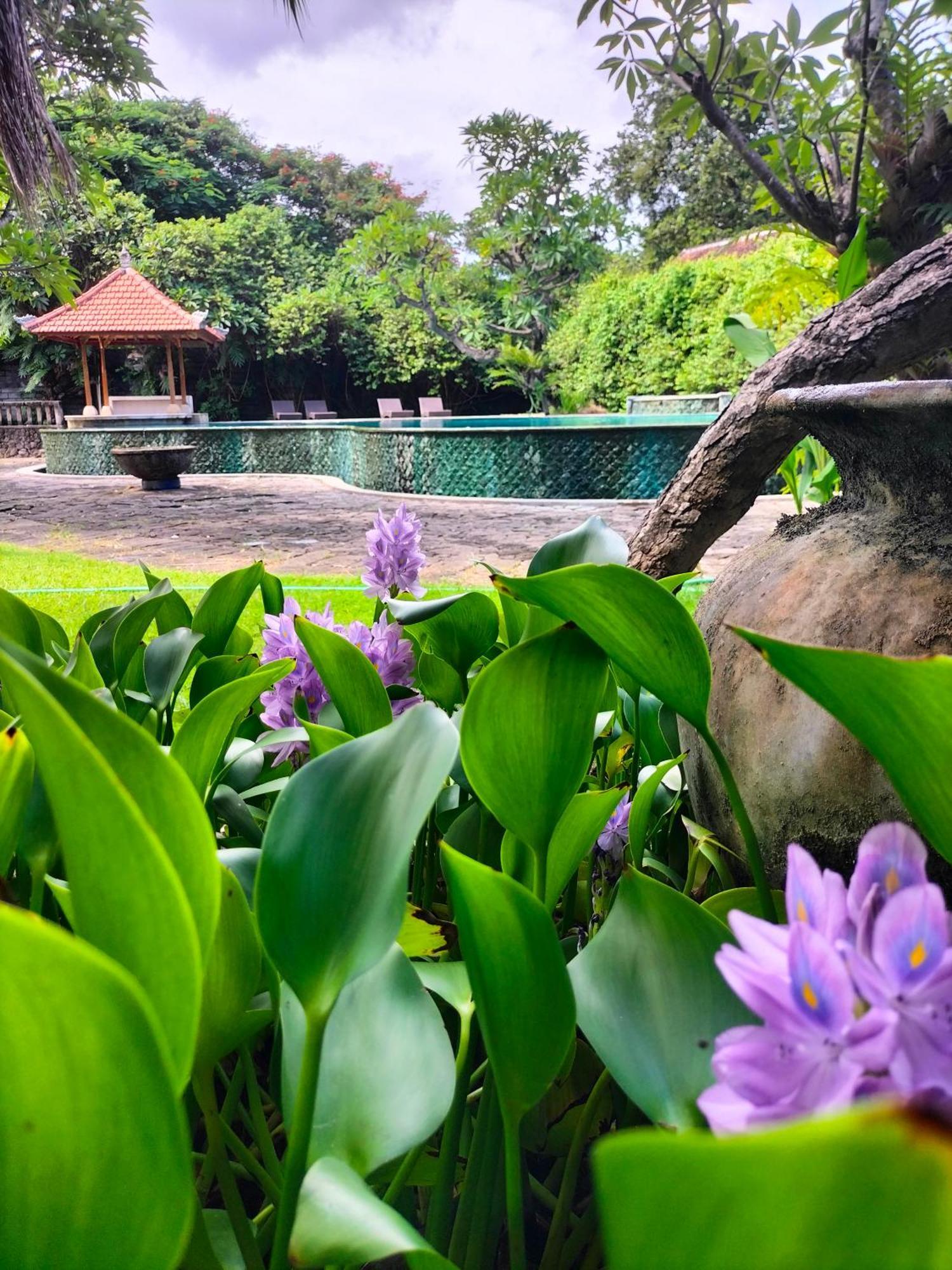 Nirwana Sea Side Cottages Lovina Esterno foto