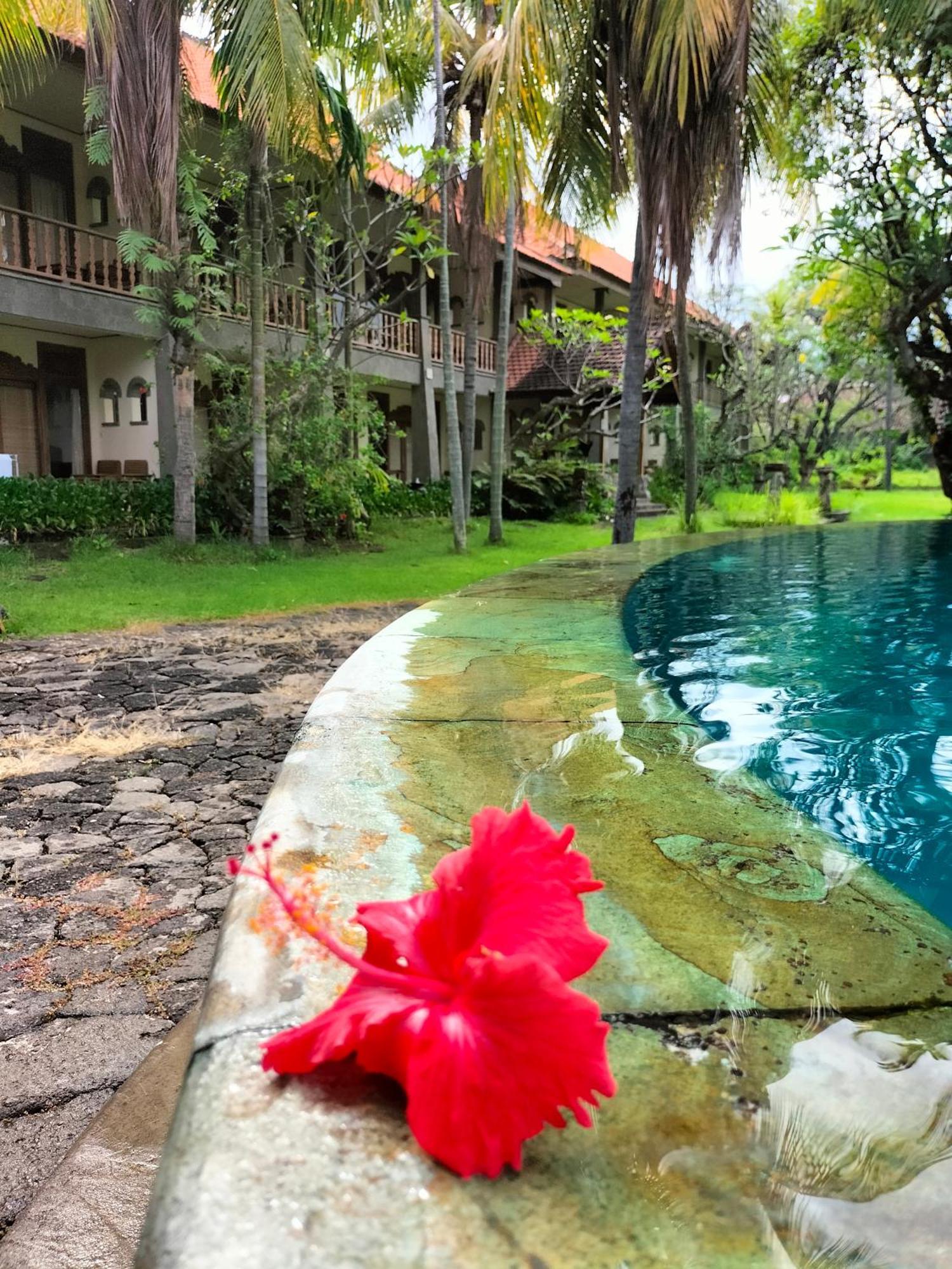Nirwana Sea Side Cottages Lovina Esterno foto