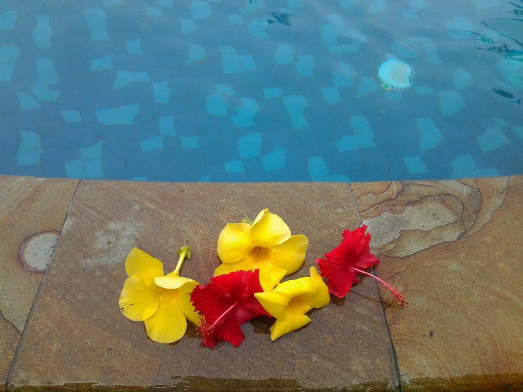 Nirwana Sea Side Cottages Lovina Esterno foto